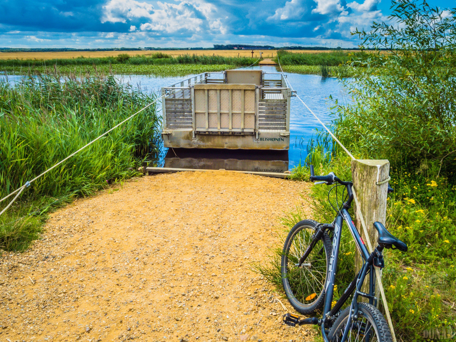 ธรรมชาติ, น้ำ, เรือข้ามฟาก, เดนมาร์ก, ขี่จักรยาน, radtour, Donar, ringkobingfjord