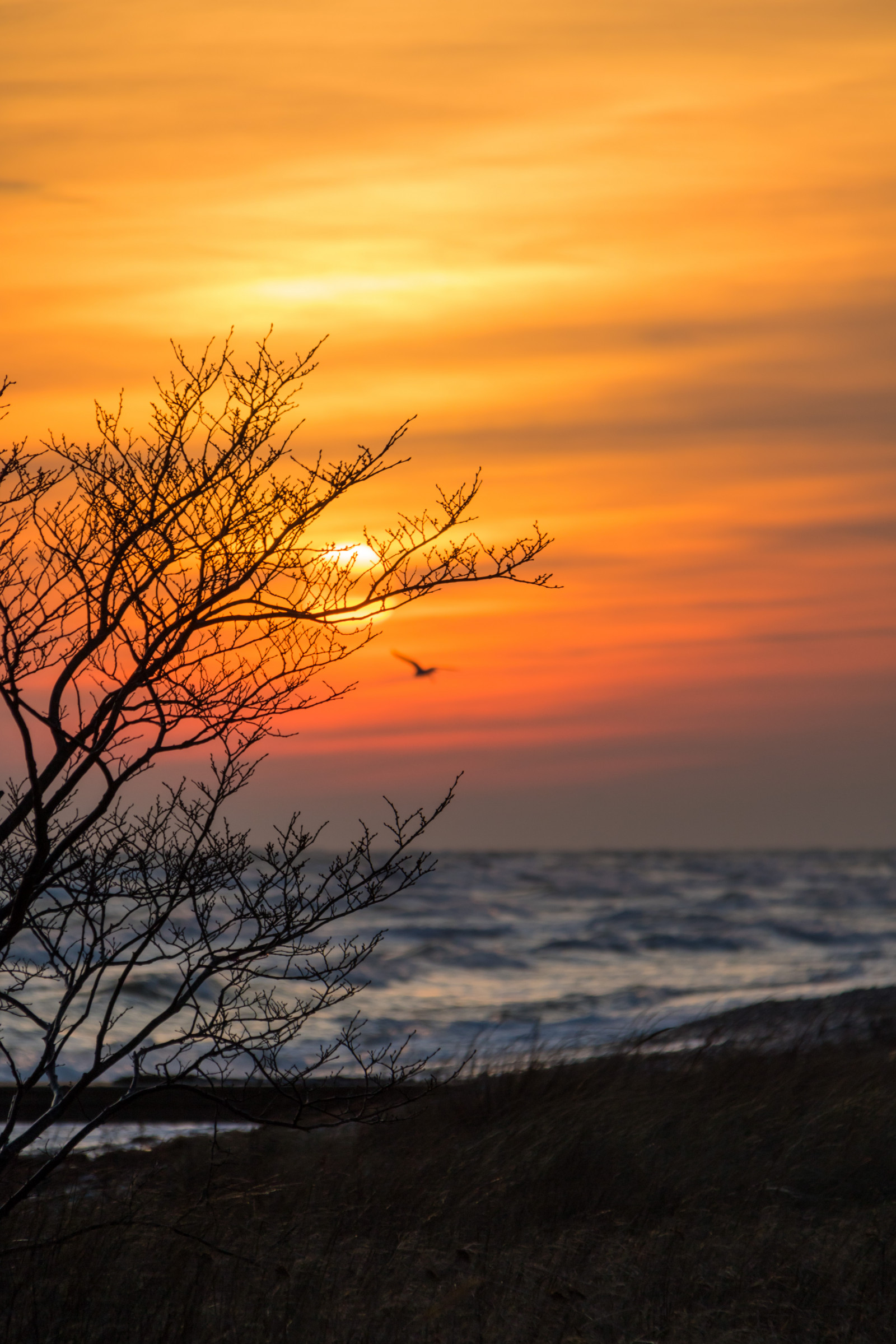 slunečnímu záření, západ slunce, moře, voda, Příroda, odraz, nebe, svítání, večer, ráno, pobřeží, slunce, horizont, atmosféra, soumrak, mrak, bouřlivý, počasí, svítání, oceán, nebe, solnedg ng, vatten, v der, hav, moln, kust, exif modelu canoneos760d, geocountry, Kamera aby kánon, geocity, Model fotoaparátu canoneos760d, geostate, geolocation, EXIF čočka efs18200mmf3556is, exif aby kánon, EXIF isospeed 100, EXIF otvor 63, bl sigt, exif focallength 170mm, atmosférický jev, odlesk