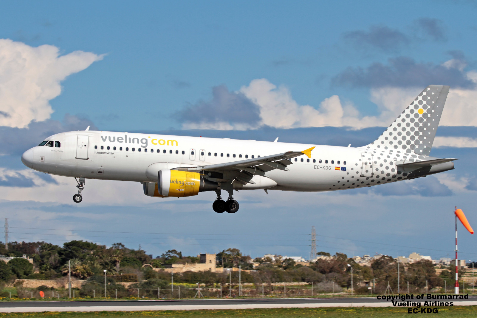 køretøj, fly, fly, Airbus, Airbus A330, Afgang, Boeing 757, luftfart, cn, flyselskab, atmosfære af jord, luftfart, passagerfly, jetfly, wide-body, narrow body, flyselskaber, Airbus A320, registrering, lmml, 10022017, Vueling, a320214, eckdg, 3095