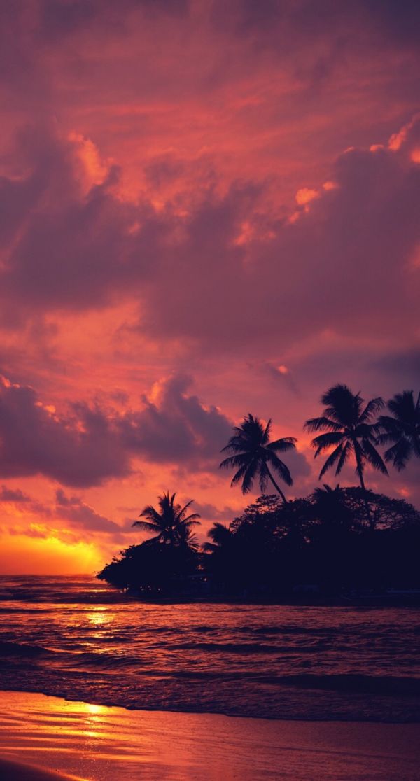 trees,landscape,sunset,sea,water,nature