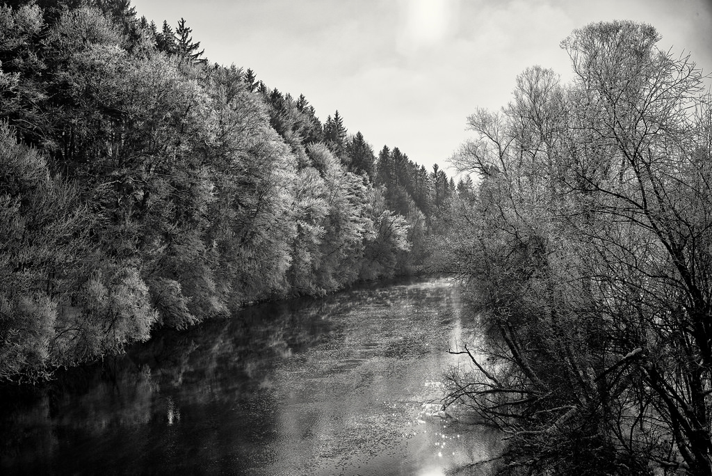 krajina, les, černobílý, voda, Příroda, odraz, tráva, zima, větev, ráno, Německo, mlha, řeka, Leica, Bavaria, strom, podzim, list, květ, rostlina, sezóna, tělesné, deutschland, SW, Wald, leicam, typ240, bayern, oberbayern, b UME, silverefexpro2, zálesí, spiegelung, Kalt, venkov, místo výskytu, atmosférický jev, vodní, Černý a bílý, monochromatické fotografování, dřevina, raureif, leden, flus, captureone10, leicasummilux35mmf14asphii, Loisach, Beuerberg