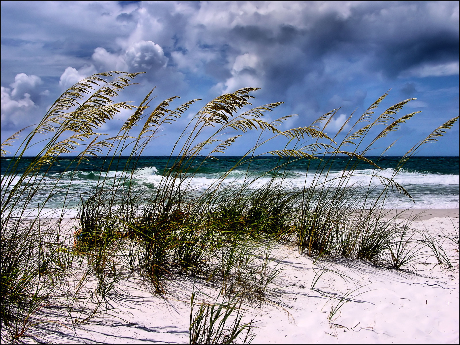 gulfofmexico, ฟลอริด้า, pensacolabeach, nikoncoolpix8700, gulfislandsnationalseashore, ป้อมปราการ, santarosaisland, intouchwithnature, tropicalstormdebbie