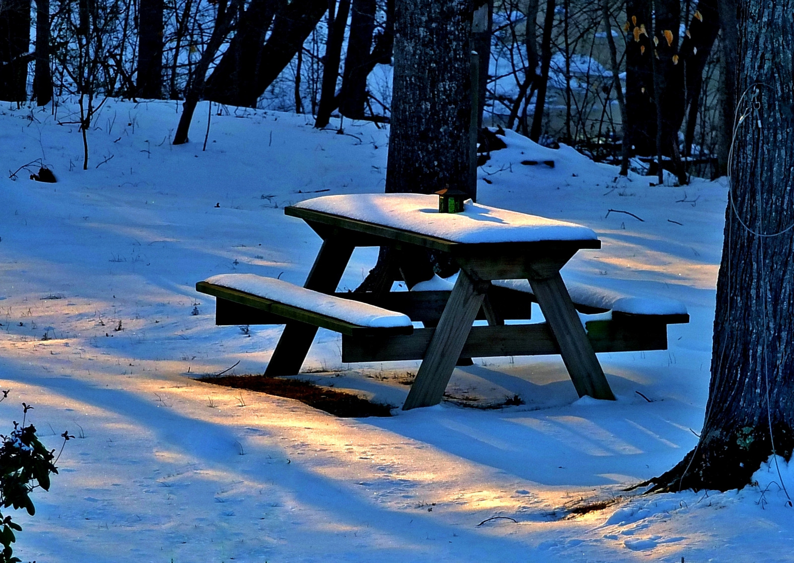 paesaggio, acqua, natura, cielo, la neve, inverno, tavolo, ramo, ghiaccio, freddo, brina, estate, picnic, Congelamento, in attesa, bellissimo, albero, ombre, pianta, bramosia, noi, digitale, fuji, oggi, no, aspettare, maggior parte, rifiuto, desiderando, Tempeste di neve, Annoiamo, Sx2, Fujixs1