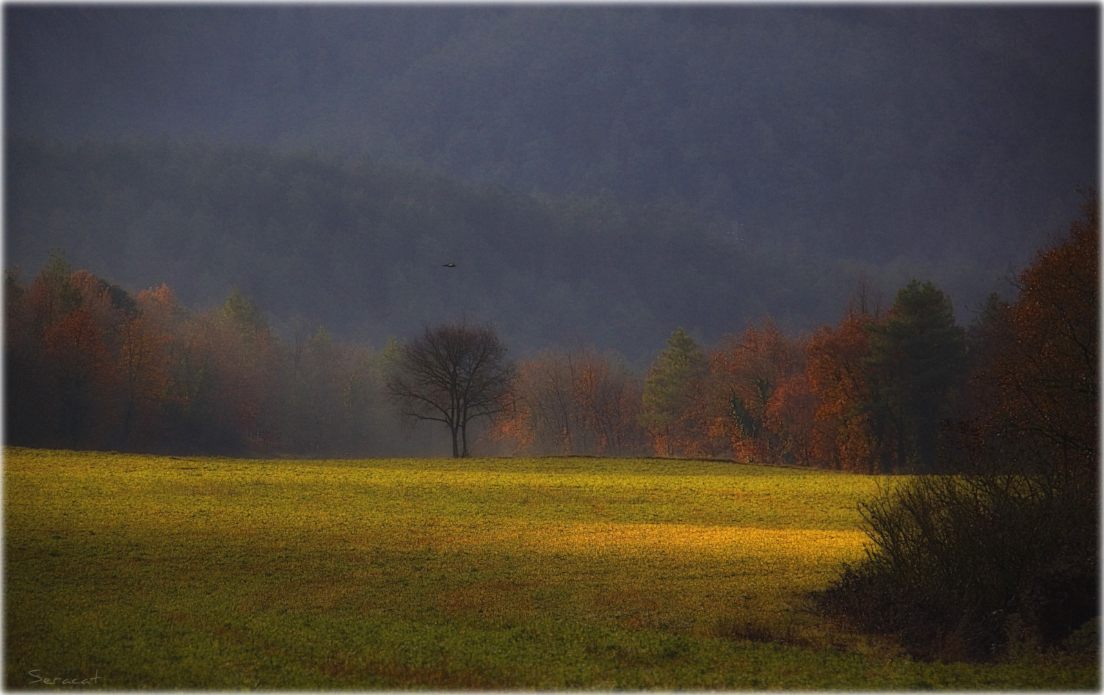 luce del sole, paesaggio, la pittura, natura, cielo, campo, Alba, mattina, Canone, campo, Campo, paysage, Catalogna, Catalunya, nube, albero, autunno, foglia, alba, prateria, paisaje, prato, pianura, canoneos, prateria, Orton, paisatge, canon500d, fenomeno atmosferico, seracat, cataluna, catalogne, otono, Tardor, canonistas, Bergued, Vilada, agrari