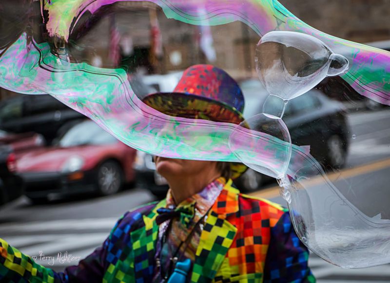 růžový, festival, Karneval, zábava, událost, tradice růžový, festival, Karneval, zábava, událost, tradice