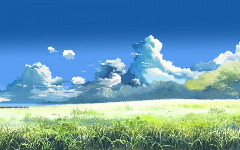 阳光, 景观, 性质, 草, 天空, 领域 阳光, 景观, 性质, 草, 天空, 领域