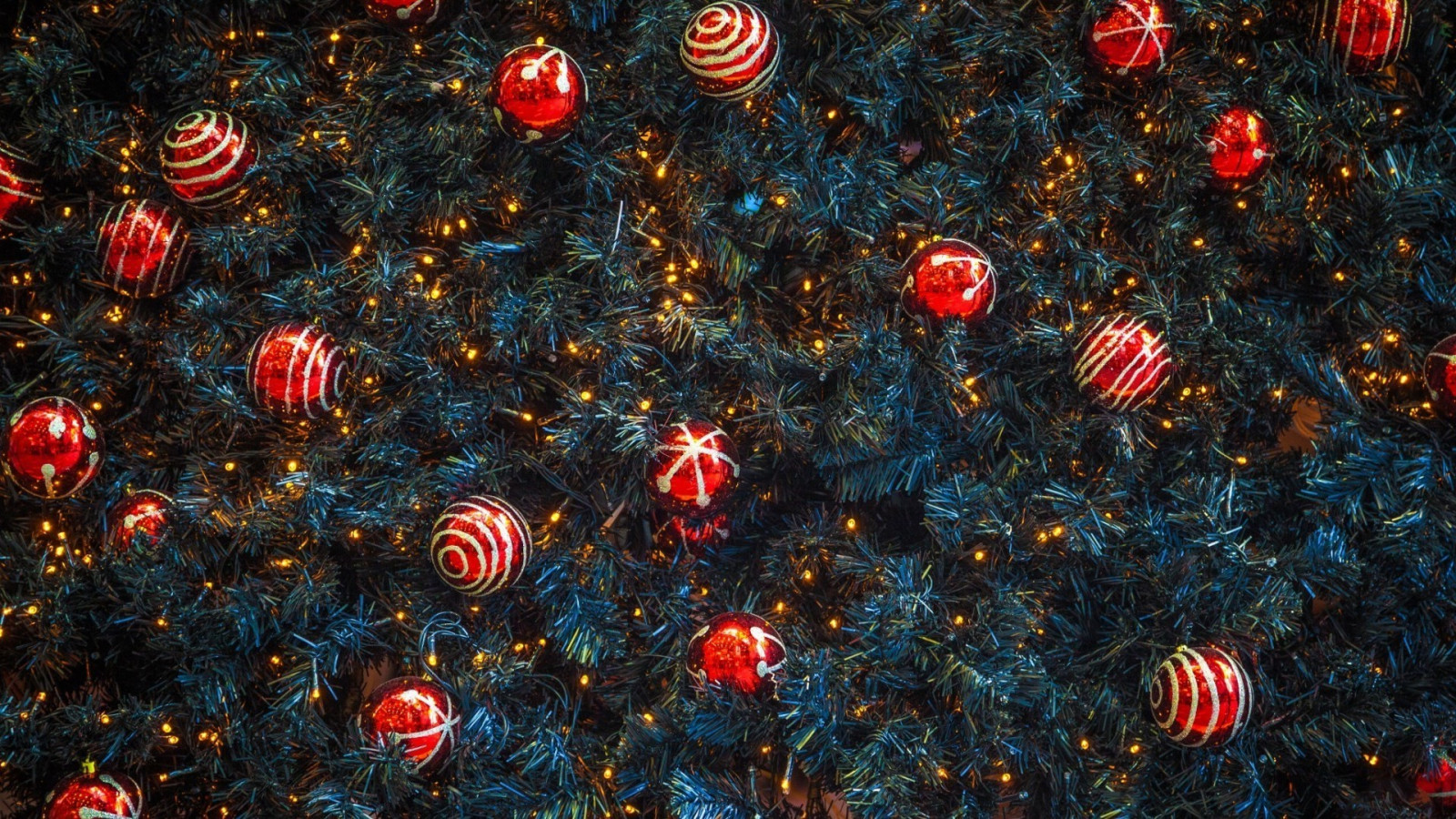 Wallpaper nature, red, reflection, photography, texture, Christmas Tree, pine trees, holiday