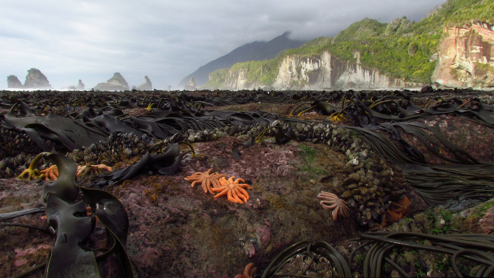 geologický fenomén, Snímek obrazovky, krajina