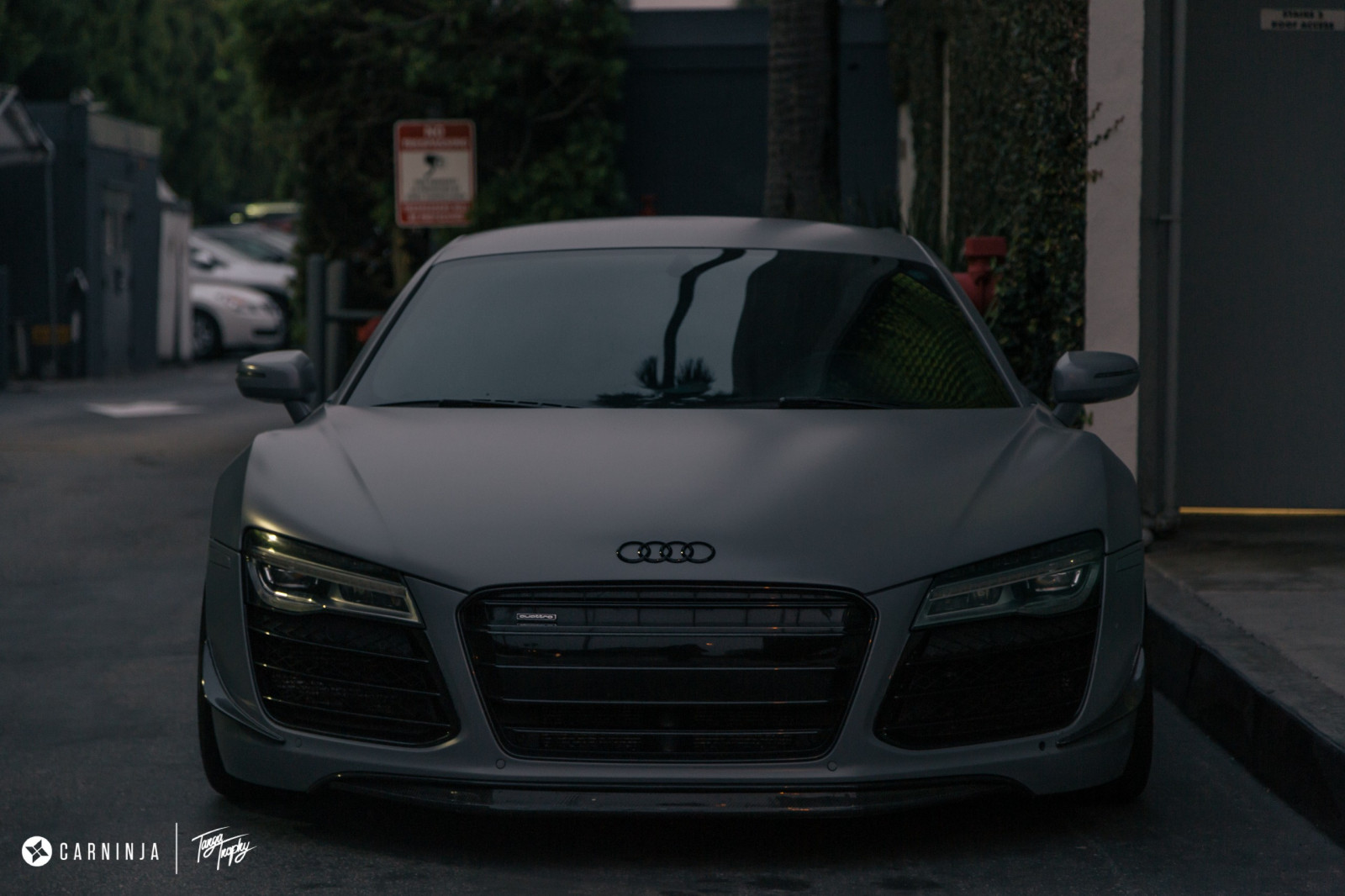 carninja, ulice, nízký, auto