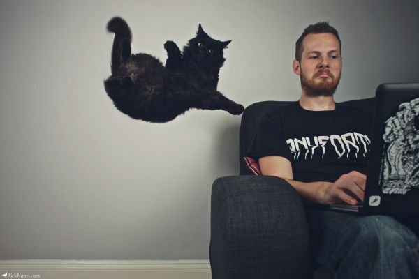 pet, me, cat, beard, hilarious, eyes