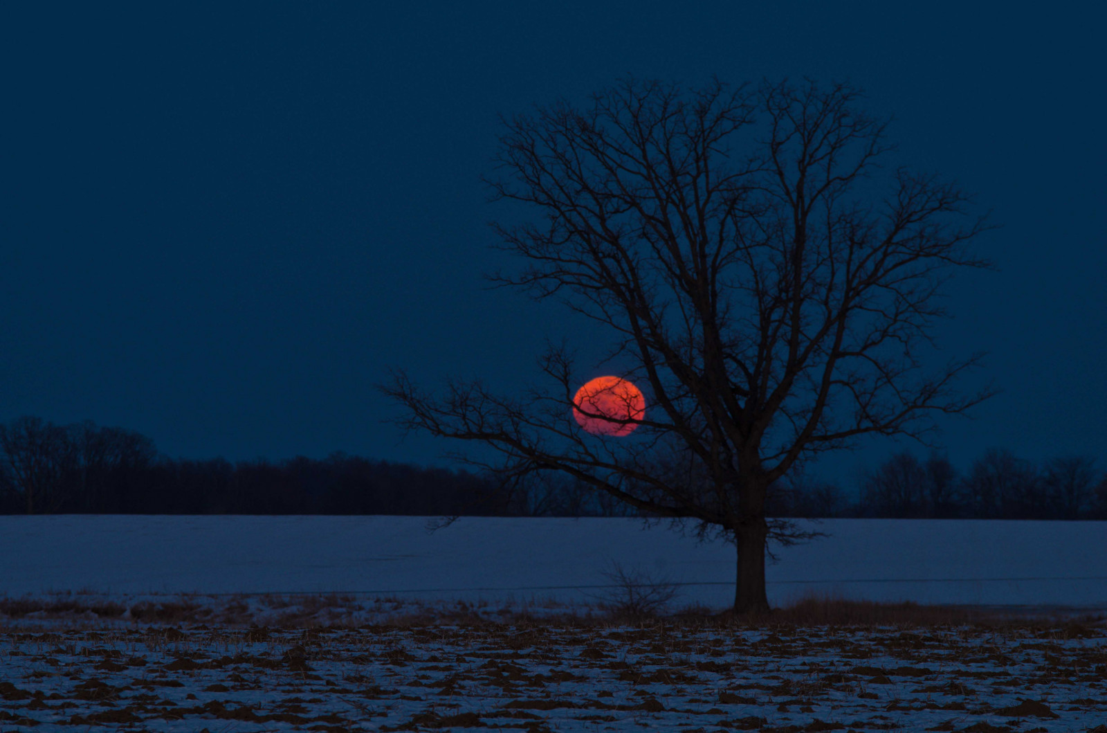 slunečnímu záření, západ slunce, noc, odraz, nebe, sníh, zima, pole, silnice, větev, svítání, Měsíc, večer, ráno, mráz, měsíční svit, horizont, atmosféra, život, soumrak, zmrazení, pentax, Ohio, UMĚNÍ, strom, počasí, hrabství, svítání, sezóna, plný, tma, vzestup, atmosférický jev, dřevina, Bowsher, Auglaize