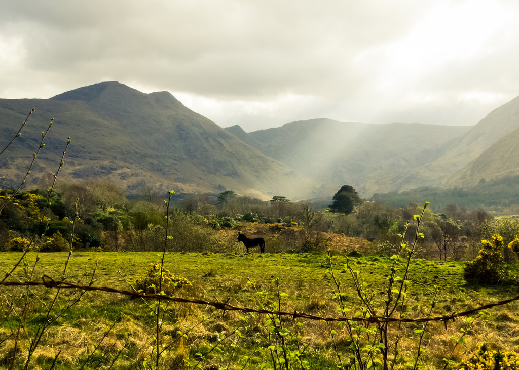 krajina, západ slunce, kopec, jezero, Příroda, ráno, Kánon, údolí, Irsko, Alpy, 2015, jaro, Drsný, plošina, osel, duben, hřbet, mrak, strom, podzim, hora, květ, landscapephotography, zemědělství, louka, vysočina, jezero, Kerry, Kenmare, irishlandscape, Lauragh, glanmorelake, venkov, atmosférický jev, horských reliéf, landform, geografický rys, pohoří, klesl