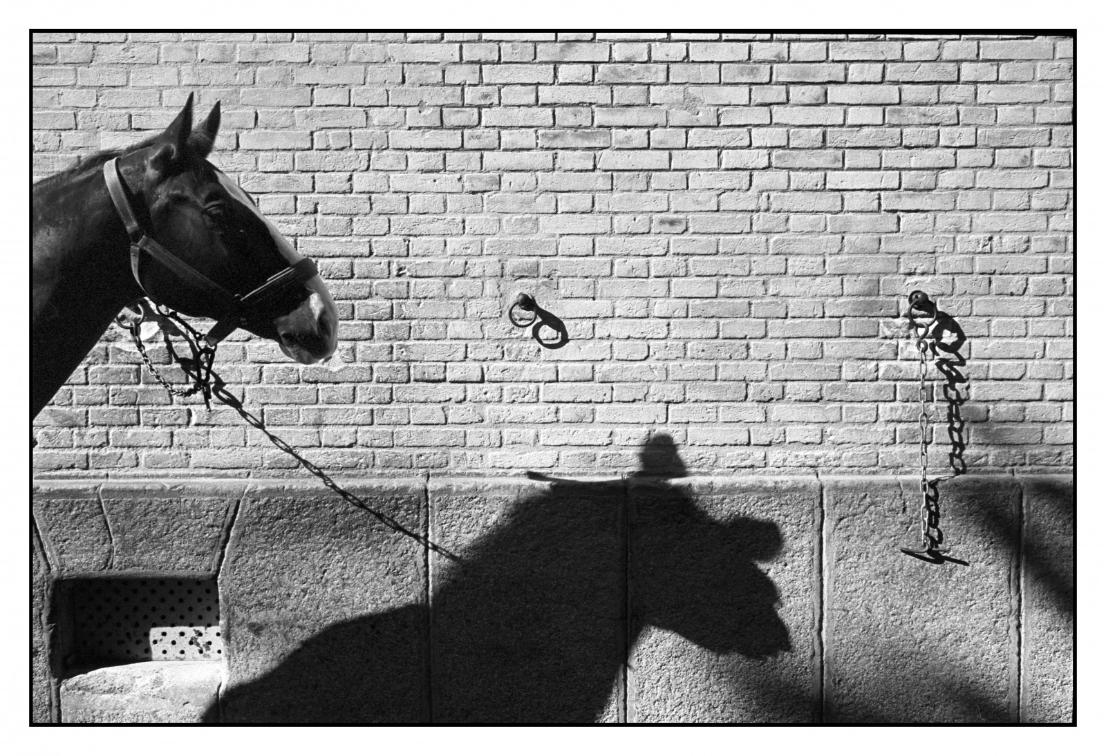 bílý, Černá, černobílý, kůň, stín, stěna, fotografování, Paříž, 35MM, Cihlový, úhel, tělesné, Černá bílá, fotografie, film, noiretblanc, nb, momentka, Trix, leicam4, kůň, Černý a bílý, monochromatické fotografování, zátiší fotografování, summaron, Garder publicaine, Casernedesc lestins, stock photography, visual arts
