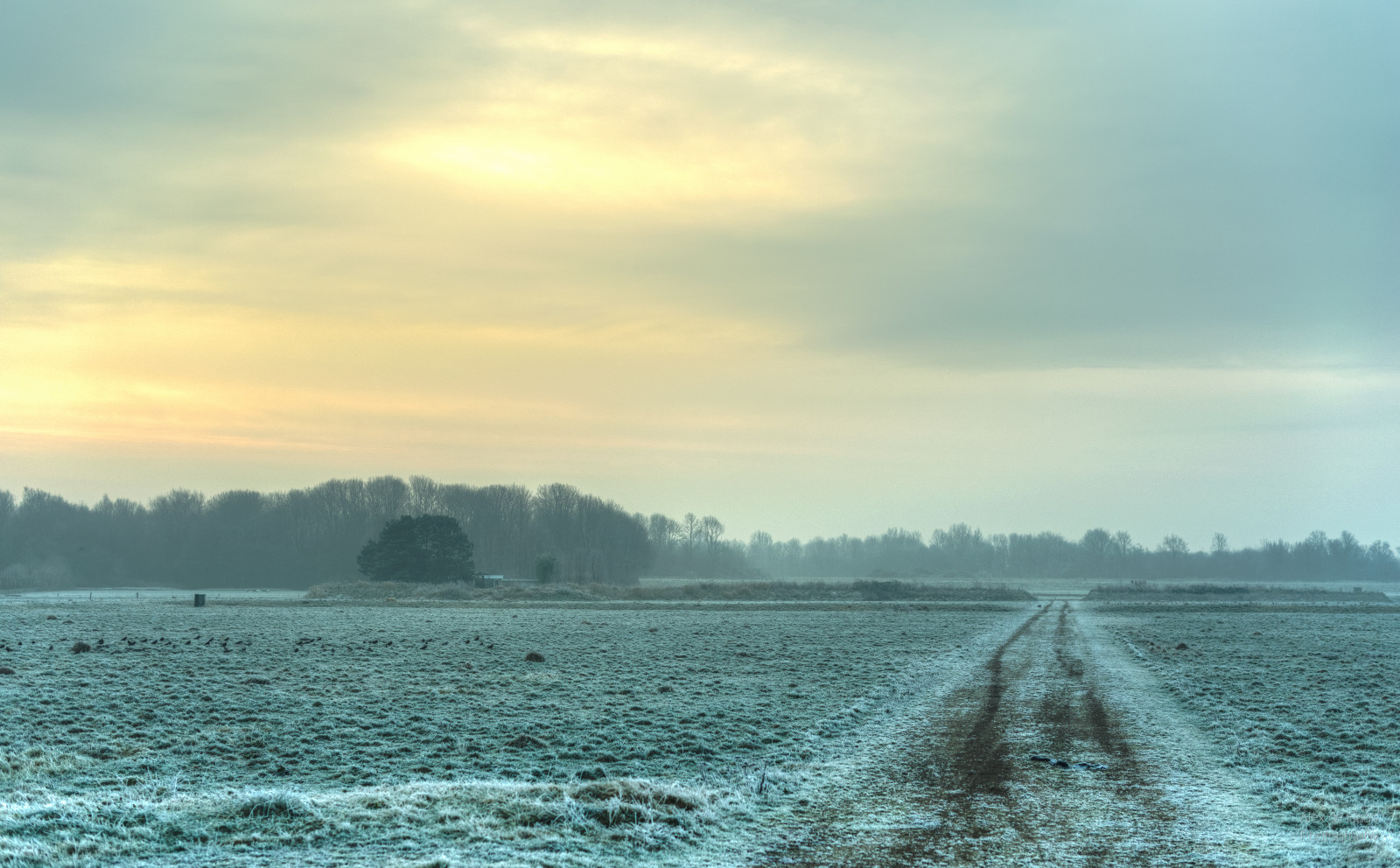smorgens, 50mm, alexdehaas, d5, holandský, HDR, Holandsko, leden, nederland, Nederlands, Nizozemí, NIKKOR, nikkor50mm, Nikon, nikond5, noordholland, Nizozemí, westfriesland, mraky, Studený, countryroad, daglicht, vlhký, denní světlo, farmfields, zemědělské půdy, mlha, mlhavý, mráz, kapesní, opar, mlhavý, highdynamicrange, jinovatka, led, ledový, januari, koud, laaghangendebewolking, krajina, landscapephotography, Landschap, landschapsfotografie, Landweg, landweggetje, licht, světlo, spravovat, louky, mlha, mistig, mlhavý, ráno, nevel, nevelig, ochtend, overdag, polder, Rijp, stáje, vodní pára, waterdamp, weg, Weiland, zima, mraky
