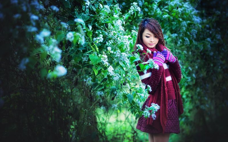 luce del sole, foresta, donne, modello, asiatico, fotografia luce del sole, foresta, donne, modello, asiatico, fotografia