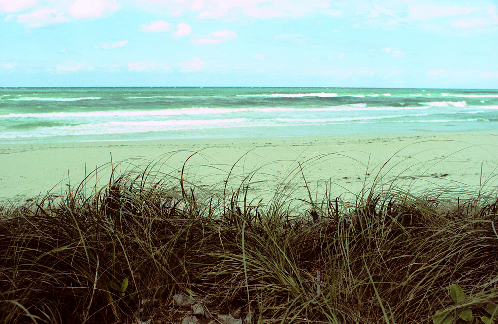 Agfactprecisa100, nikonfm, 35mmnikkorkf20ai, Bw81awarming, Tetenalc41crossprocessed, skluzavka, pláž, oceán, tráva, pole, nebe, voda, pobřeží, 35MM, analogový, film, 2012, barva, argentique, analog, skenovat, Filmscan, filmisnotdead, analogový, believeinfilm, filmphotography, manuál, Soustředit se, selfdeveloped, ishootfilm, 35mmf2ai, NIKKOR, f2, ai, široký, úhel, primární, objektiv, 35mmf2, široký úhel, vinobraní, starý, filmphoto, shootfilm, pobřeží, pobřeží, duna, moře, krajina, K, buyfilmnotmegapixels, Analog, Pelicula, filme, experiment, experimentální, Longlivefilm