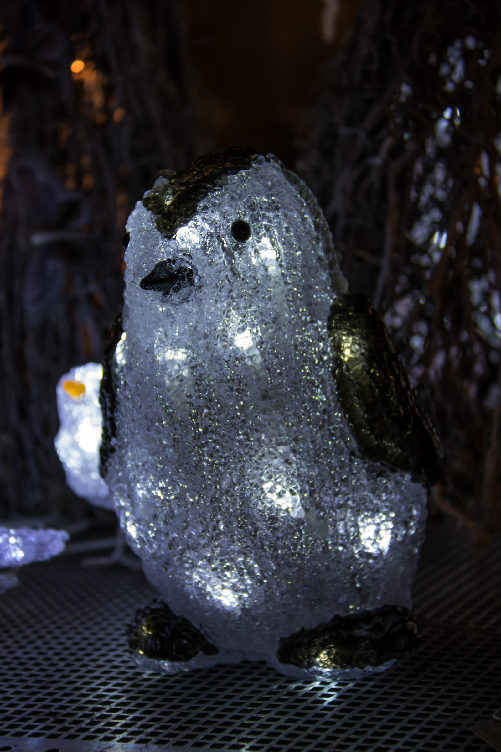 sort, sne, vinter, is, frø, padde, jul, dekorationer, lys, vejr, xmas, juli, exif model canoneos760d, geocountry, kamera gør kanon, geocity, kameramodel canoneos760d, geostate, geolocation, exif linse efs18200mmf3556is, exif åbning 56, exif gøre kanon, exif isospeed 1000, exif focallength 70mm, belysning, mørke, Vellinge, vellingeblomman, Childrens, tæt på, makrofotografering