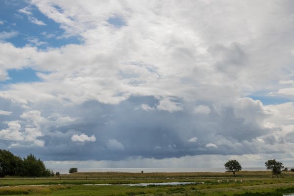 landscape, sky, storm, nature, field, wind
