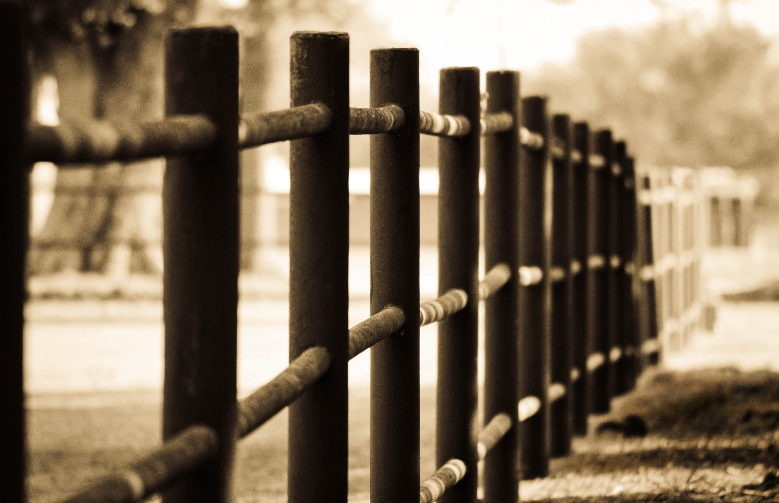 veverka, dřevo, kov, Nikon, plot, bokeh, pátek, světlo, země, strom, dof, železo, HFF, D3000, outdoor struktura, fencefriday, happyfencefriday