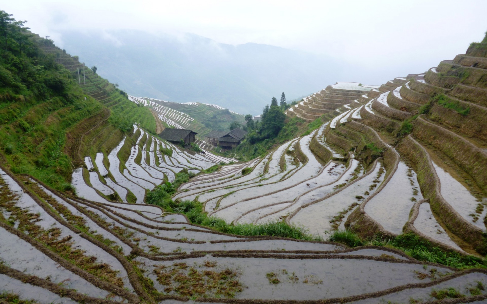 78+ Gambar Pemandangan Alam Gunung Dan Sawah Terlihat Keren 78+ Gambar Pemandangan Alam Gunung Dan Sawah Terlihat Keren