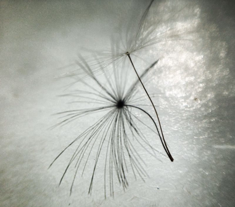 fény,árnyék,absztrakt,visszaverődés,tükröző,elképesztő