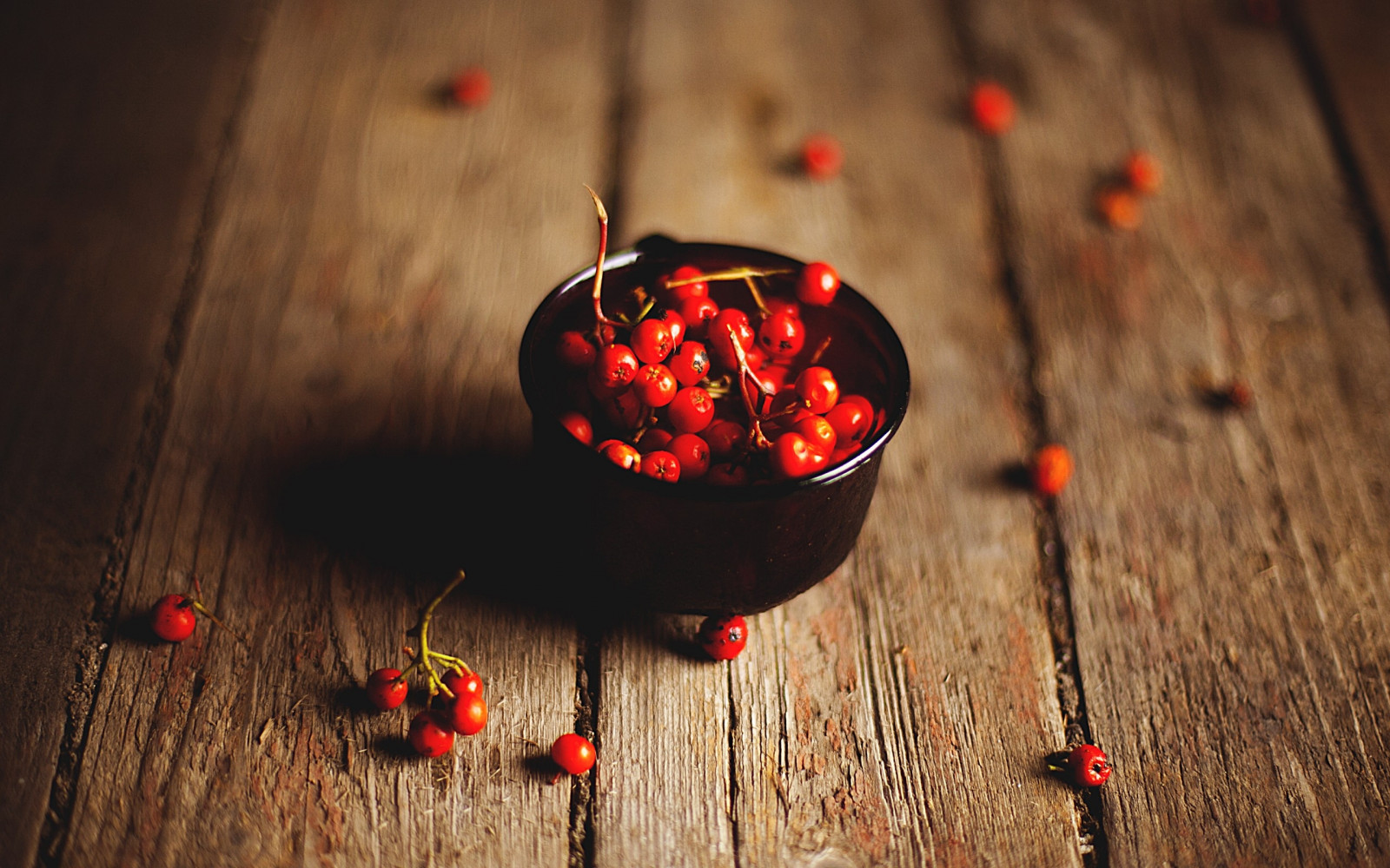 roșu, fotografie, Crăciun, fructe de padure, ușoară, culoare, toamnă, frunze, floare, iluminat, castron, întuneric, macro fotografie, presăra