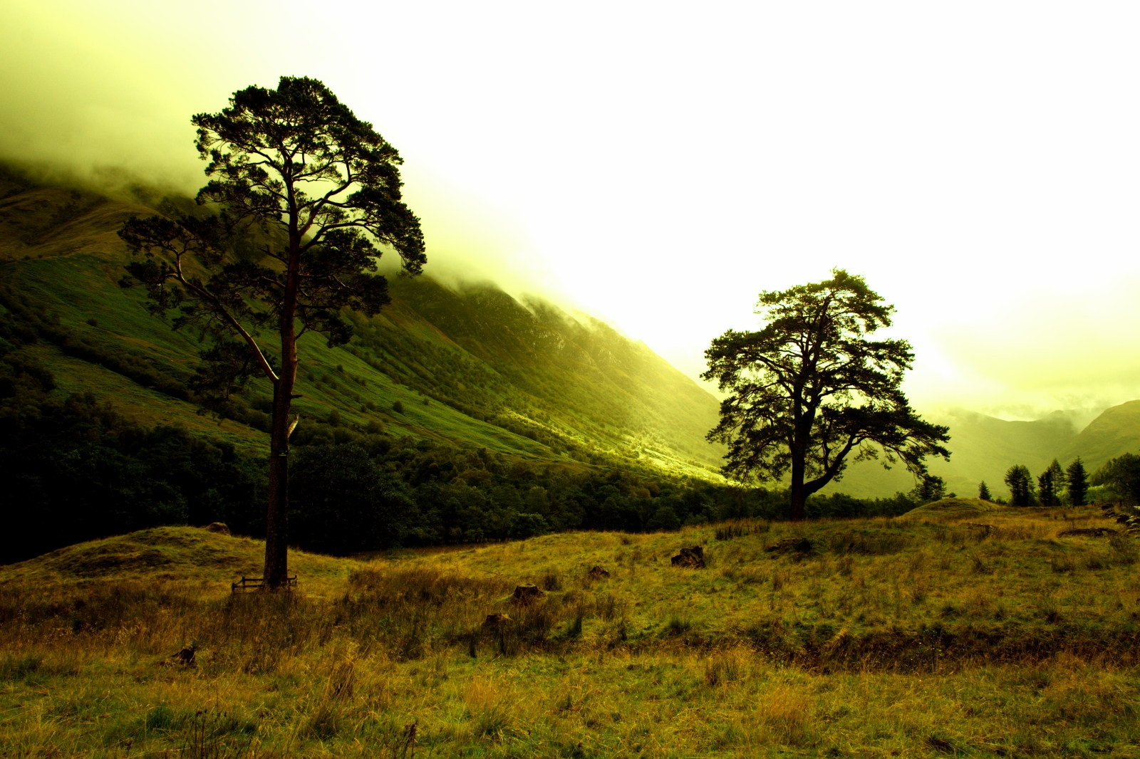 UK, Scozia, Nikon, GIMP, valletta, valle, NIKKOR, nevis, lochaber, glennevis, digikam, 1685, d5000, rawstudio, 1.685 millimetri, nikkor1685mm, saariysqualitypictures, nikond5000, gleannnibheis