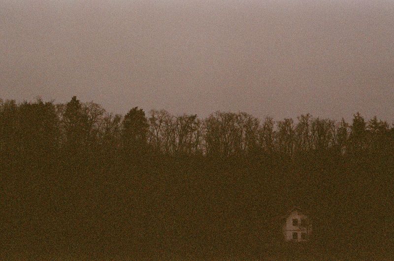 cây,Bầu trời,nâu,ngã,bóng,Kiến trúc