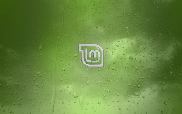2560x1600 px,GNU,Linux,Linux Mint