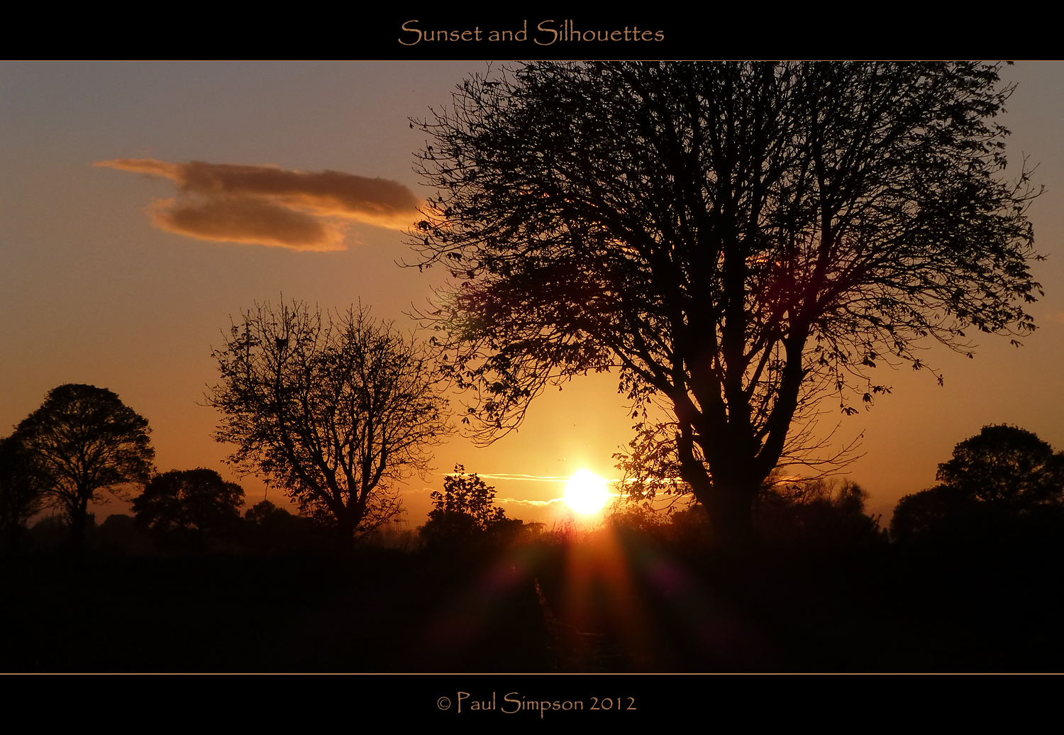 Spojené království, západ slunce, Anglie, Černá, silueta, večer, obraz, soumrak, pohlednice, Yorkshire, siluety, Slunný, snímky, Panasonic, větvičky, slunečný den, South Yorkshire, photosof, imageof, Treessun, photoof, imagesof, Lumixtz30, paulsimpsonphotography