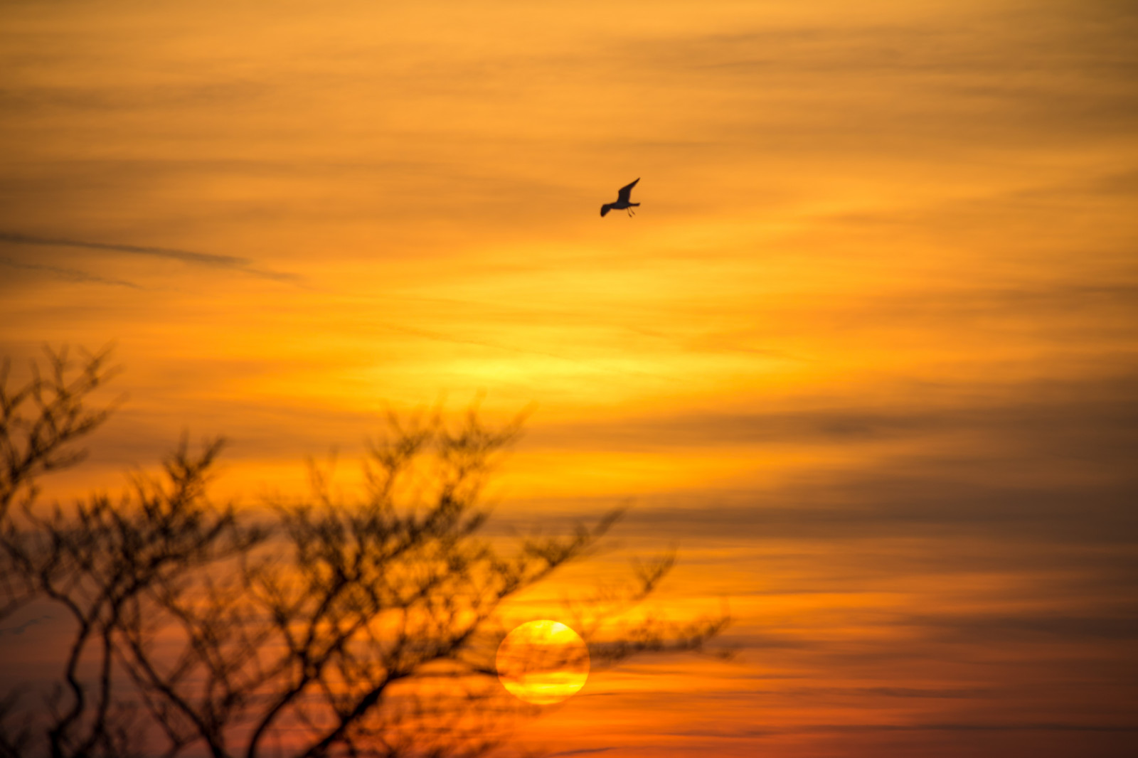 slunečnímu záření, západ slunce, moře, voda, odraz, nebe, svítání, večer, ráno, pobřeží, slunce, horizont, soumrak, mrak, bouřlivý, počasí, svítání, pták, nebe, solnedg ng, vatten, v der, hav, moln, f gel, kust, exif modelu canoneos760d, geocountry, Kamera aby kánon, geocity, Model fotoaparátu canoneos760d, geostate, geolocation, EXIF čočka efs18200mmf3556is, exif focallength 200mm, exif aby kánon, EXIF isospeed 100, EXIF otvor 71, bl sigt, atmosférický jev, odlesk