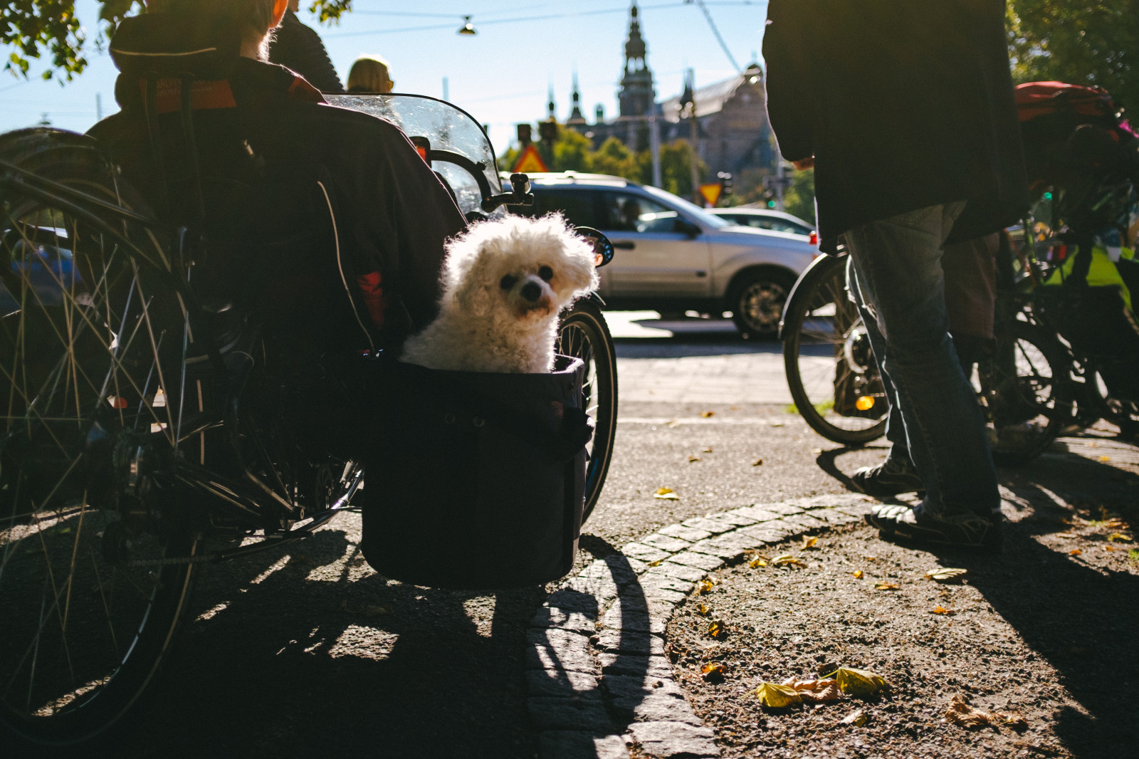 ulice, město, portrét, lidé, tělesné, architektura, 35MM, fotografování, Černá bílá, flickr, momenty, fuji, foto, fotky, Švédsko, Stockholm, upřímný, děje, průzkumník, prasknutí, prozkoumat, CreativeCommons, Fujifilm, unposed, Nekupírované, decisivemoment, fotografi, primelens, gatufoto, bestcamera, Shromáždění, worldstreetphotography, fujix100t, jackwallsten