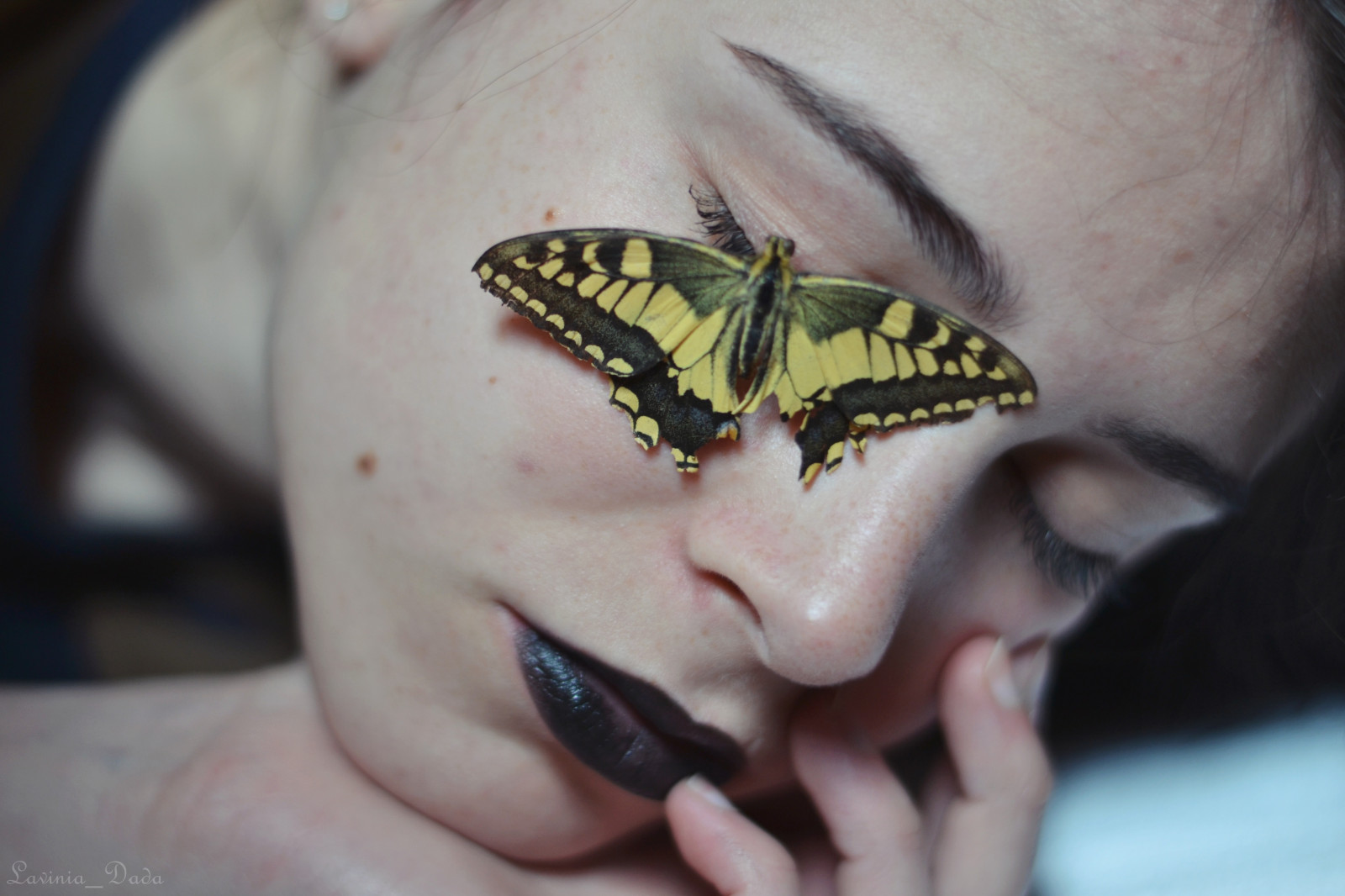 Wallpaper : face, portrait, eyes, butterfly, insect, lips, mouth ...