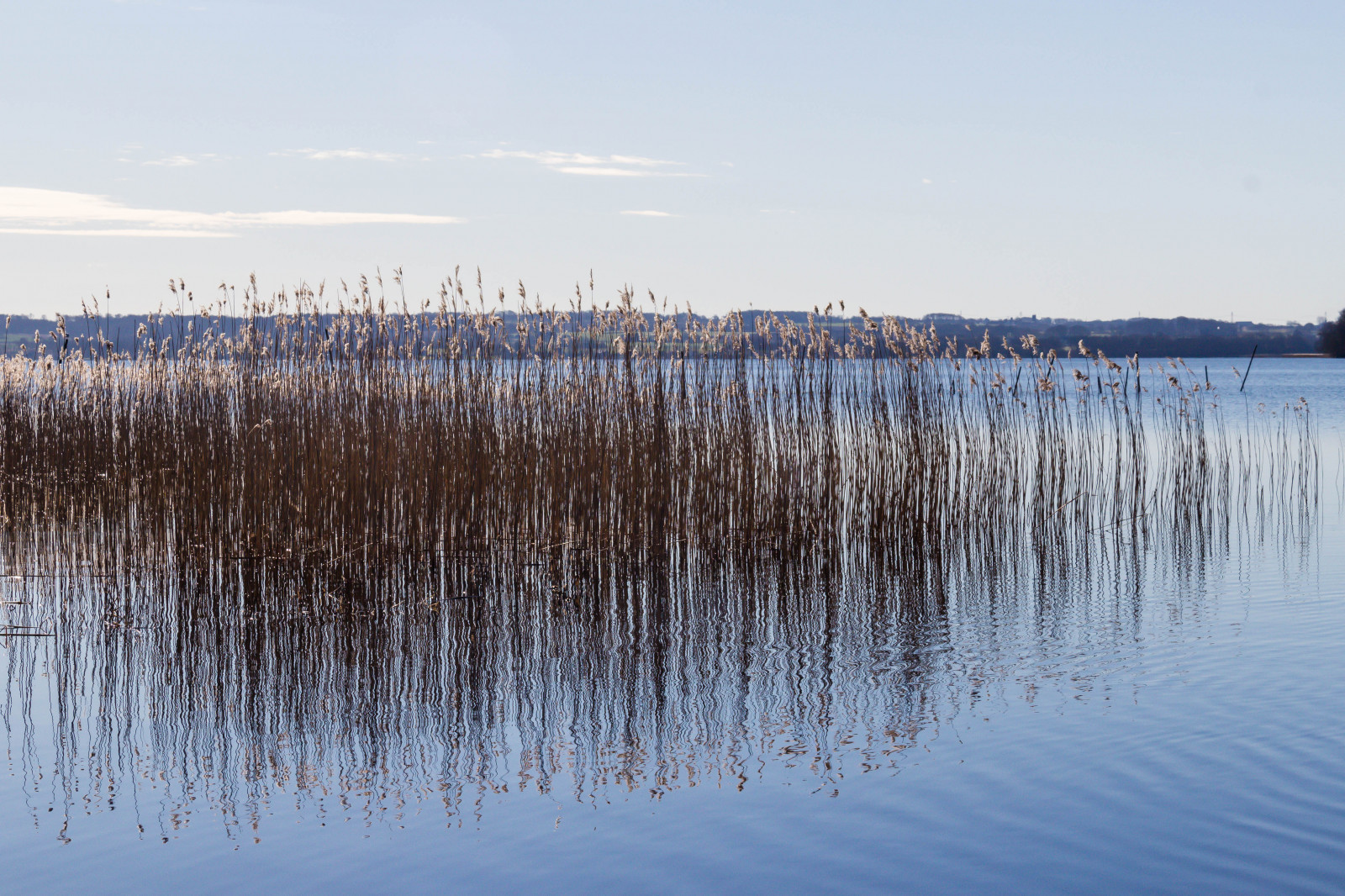 hav, sø, vand, natur, kyst, afspejling, vinter, is, morgen, flod, horisont, skumring, vådområde, daggry, Vatten, sj, ringsj n, straringsj n, reservoir, marsk, levested, naturligt miljø, atmosfærisk fænomen, krop af vand
