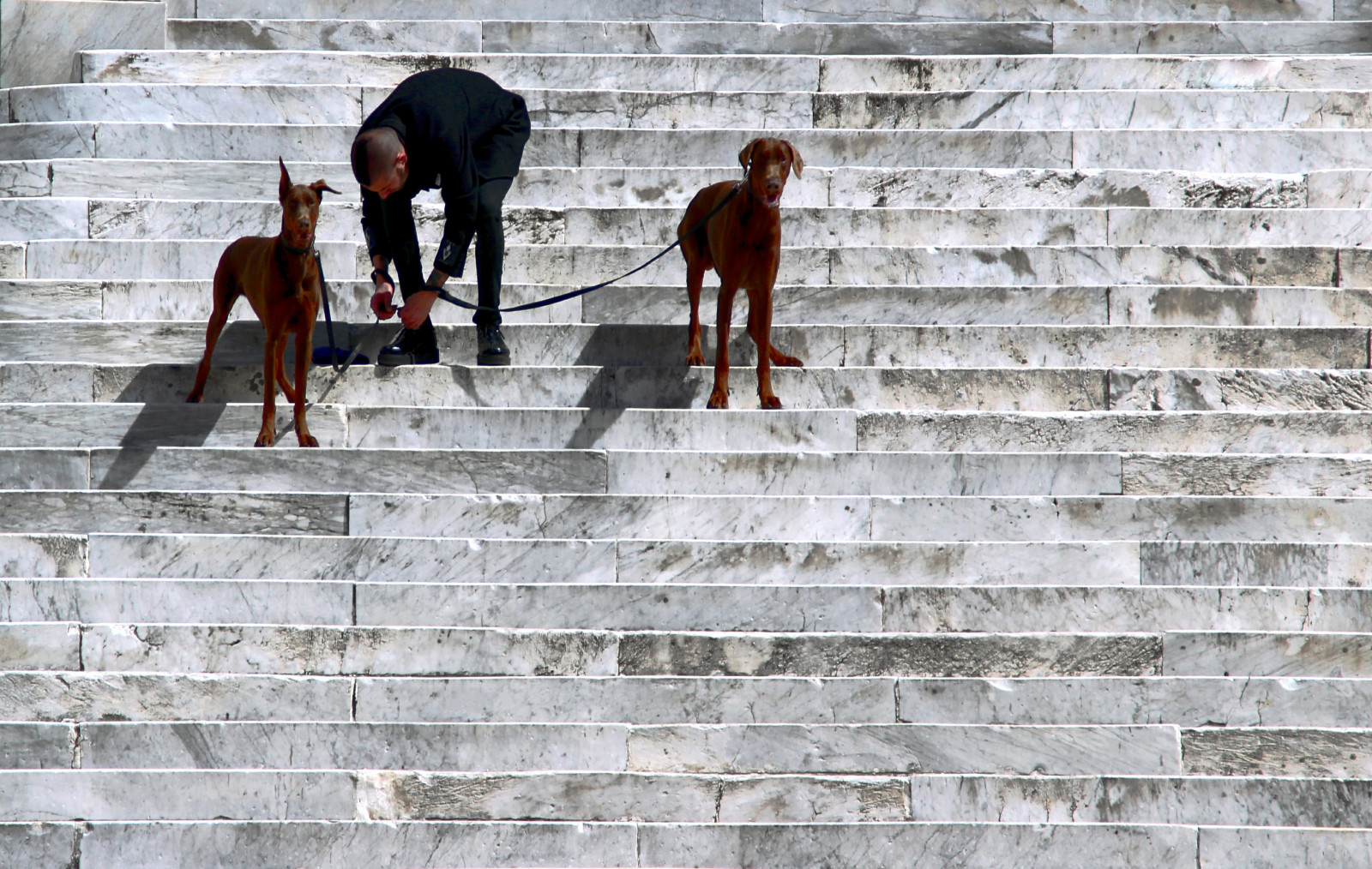 chrám, Skála, stín, stěna, dřevo, slunce, schody, 2013, Cihlový, prozkoumat, muž, psi, fotografie, podrážka, Ombra, scala, Lavagna, mohu, dávná historie, Scalinata, uomo