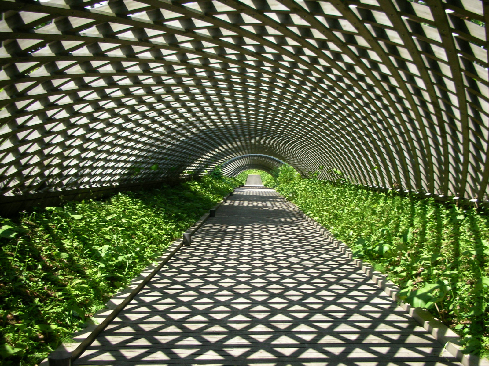 Japonsko, zahrada, architektura, tráva, symetrie, zelená, trojúhelník, vzor, oblouk, chodník, struktura, světlo, strom, rostlina, anawesomeshot, mywinners, platinumphoto, fasáda, keř, outdoor struktura, denní osvětlení, Aomori