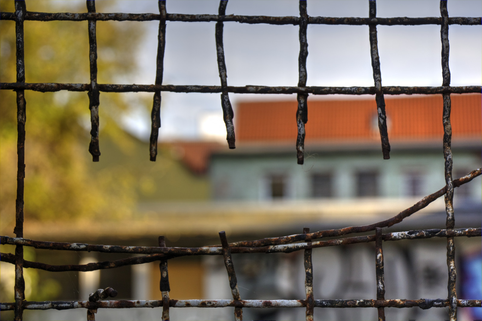 pigtråd, vindue, gade, himmel, afdeling, Tyskland, metal, hegn, Hamborg, hul, net, Gade syn, StPauli, linje, streetshot, Kvist, hul, kædeled hegn, trådhegn, Altona, altonaaltstadt