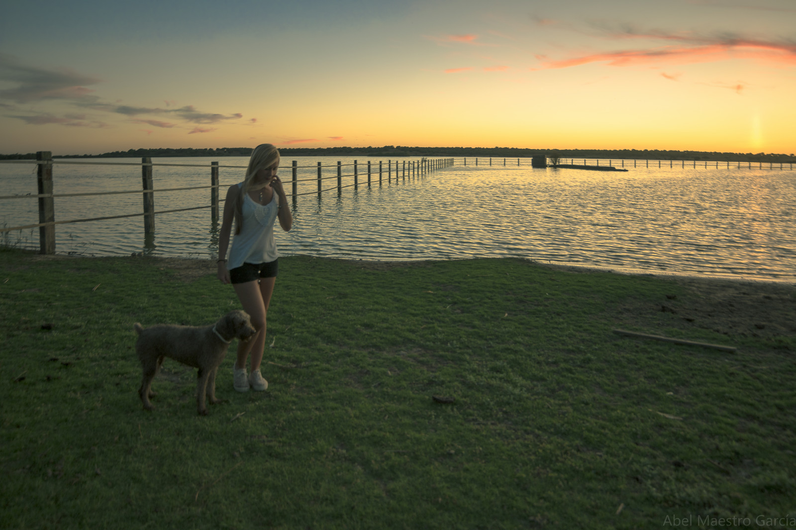 slunečnímu záření, západ slunce, moře, Španělsko, Sevilla, gloria, roztomilý, krása, espa, perro, guapa, sara, atardecer, dehesa, lago, abajo