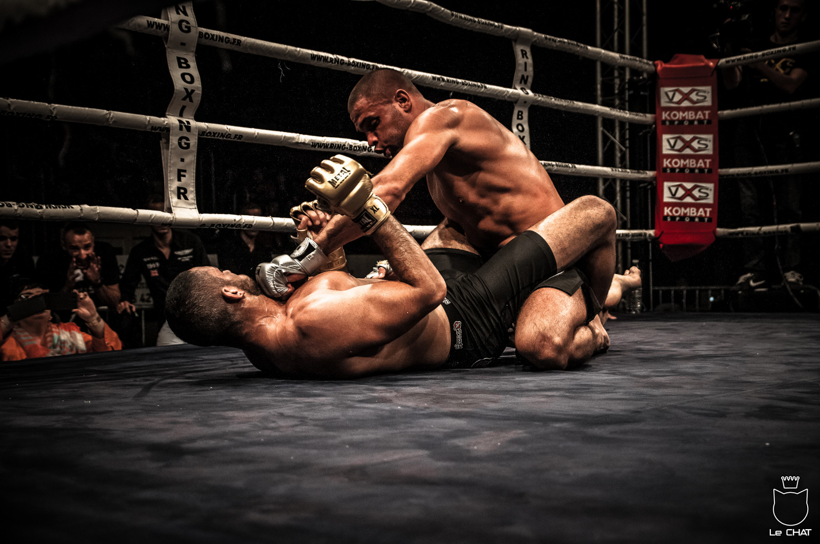 Francia, metallo, campionato, combattimento, Nikon, Lione, sigma, orgoglio, Kenpo, combattente, 1770, UFC, Boxe, LFC, Villeurbanne, mma, 1.770 millimetri, Vxs, D300S