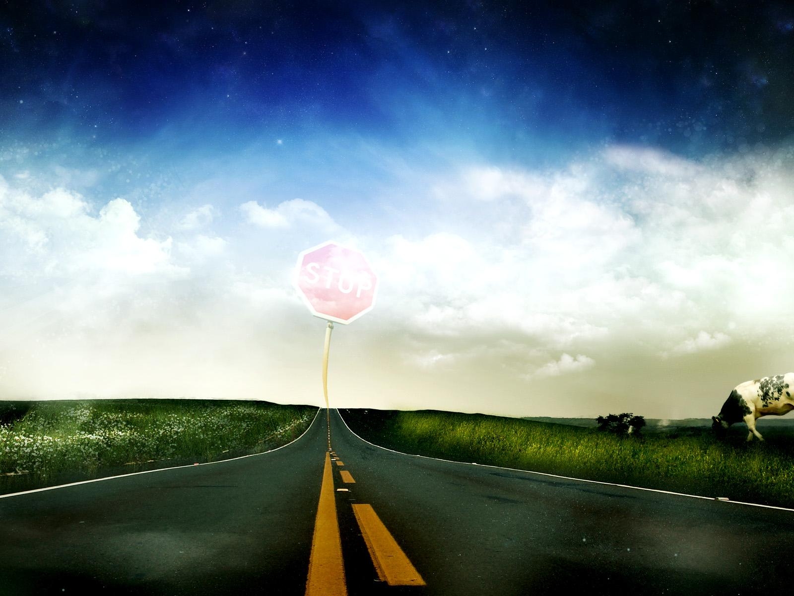 silnice, označení, čáry, podepsat, prevence, kráva, pole, nebe