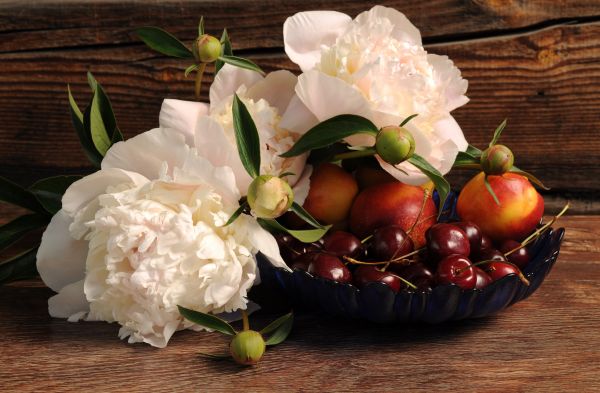 flowers,peonies,cherry,nectarine