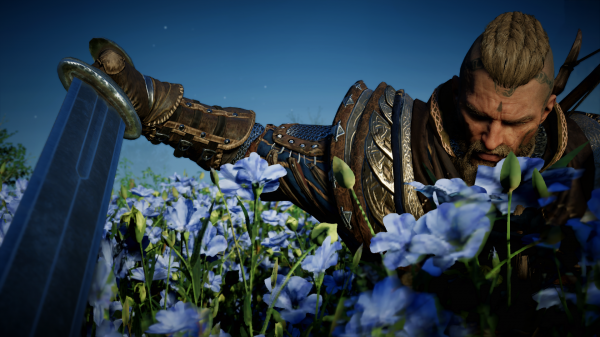 sky,gesture,flower,head,plant,People in nature