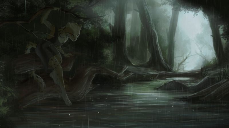 srstnatý, Anthro, slunečnímu záření, les, džungle, bažina srstnatý, Anthro, slunečnímu záření, les, džungle, bažina