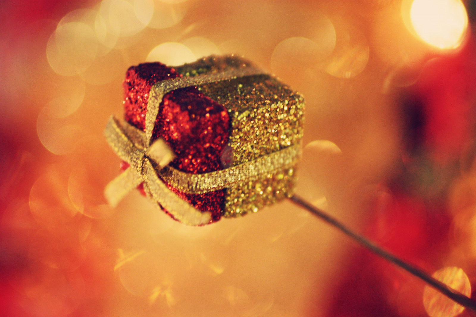 สีแดง, การถ่ายภาพ, สีเหลือง, คริสต์มาส, bokeh, ทอง, ถ่ายแล้ว, แองเจลา, พ.ศ. 2552, สี, สวย, ดอกไม้, นกพิราบ, ธันวาคม, เก็บ, ของขวัญ, กลีบดอก, สถานที่, เครื่องเพชรพลอย, เลือก, tn, วอลล์เปเปอร์คอมพิวเตอร์, เครื่องประดับแฟชั่น, ใกล้ชิด, การถ่ายภาพมาโคร, ปลอม, astanse, ใน