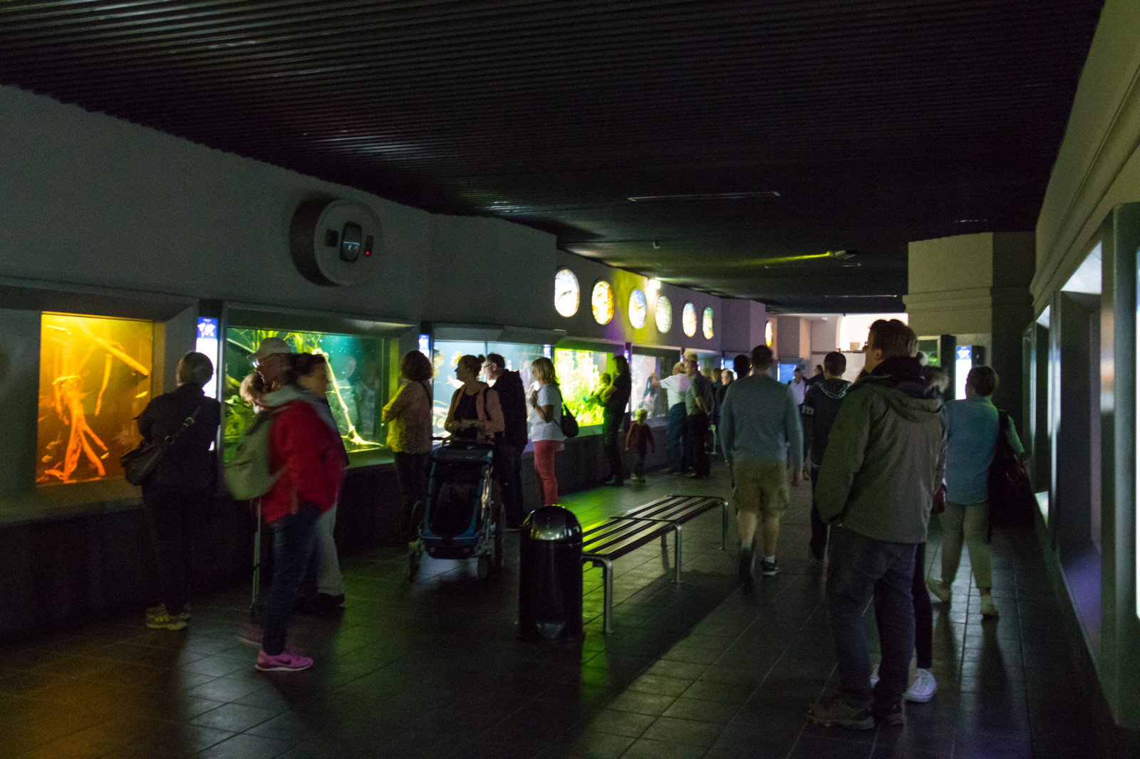 noc, Německo, doprava, akvárium, Berlín, rychlá přeprava, Německo, deutschland, aquariumberlin, akvarium, berlineraquarium, veřejná doprava