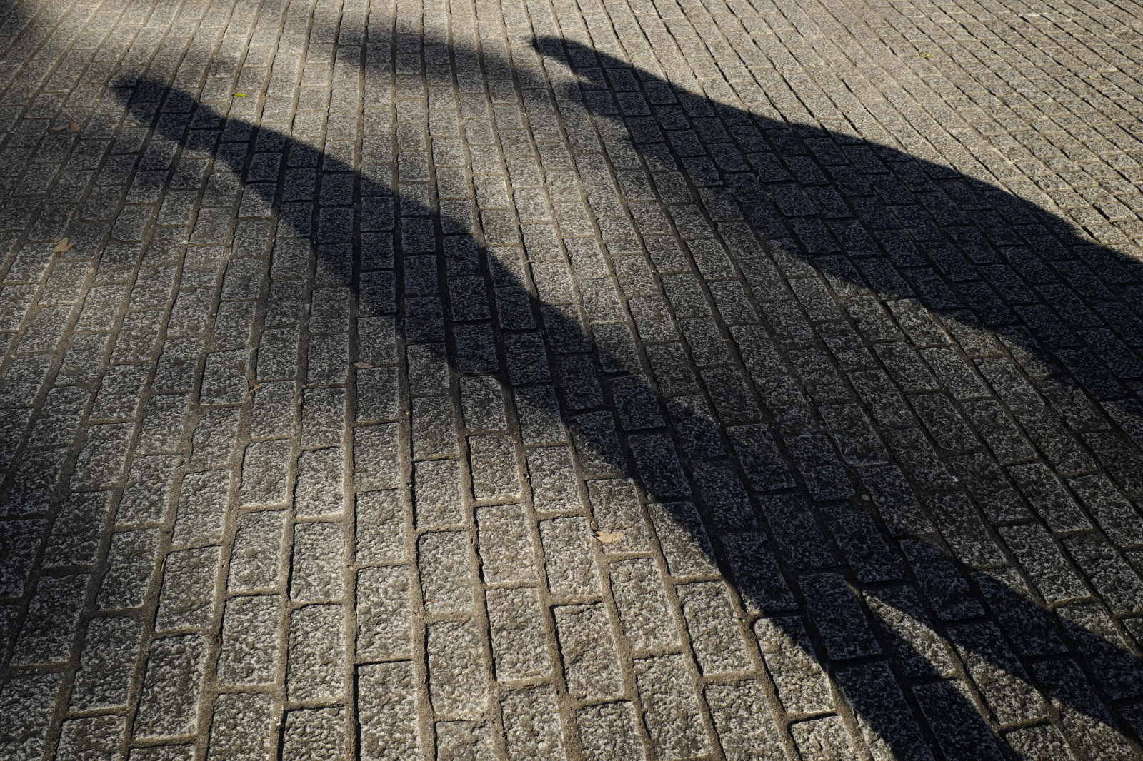 Japonsko, Černá, písek, stín, modrý, textura, Leica, Tokio, asfalt, jp, materiál, patro, podlaha, dno, čára, Shinjuku, summilux, leicaq, summilux1728, q, 1728, půda, podlaha, povrch vozovky