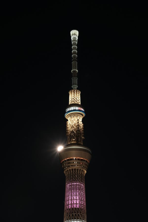 Japan,street light,night,architecture,Moon,tower