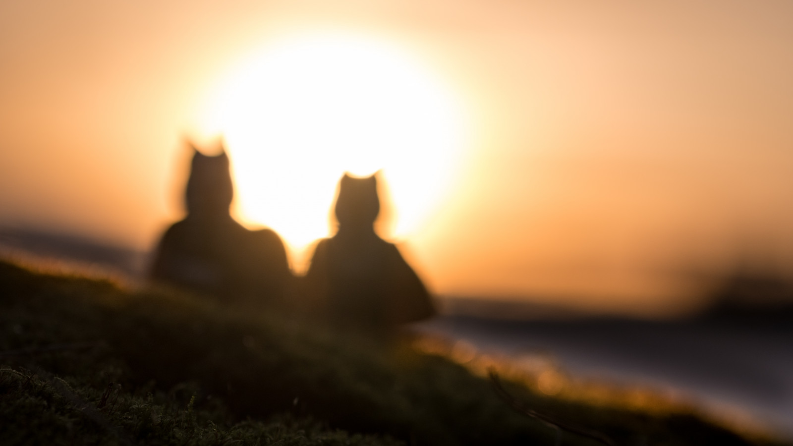 105mm, ahsokha, D500, dSLR, Jedi, LEGO, legography, objektiv, makro, minifig, minifigure, Nikon, fotografování, primární, reiterlied, shaakti, sigma, hvězdné války, stuckinplastic, Tano, togruta, Hračka