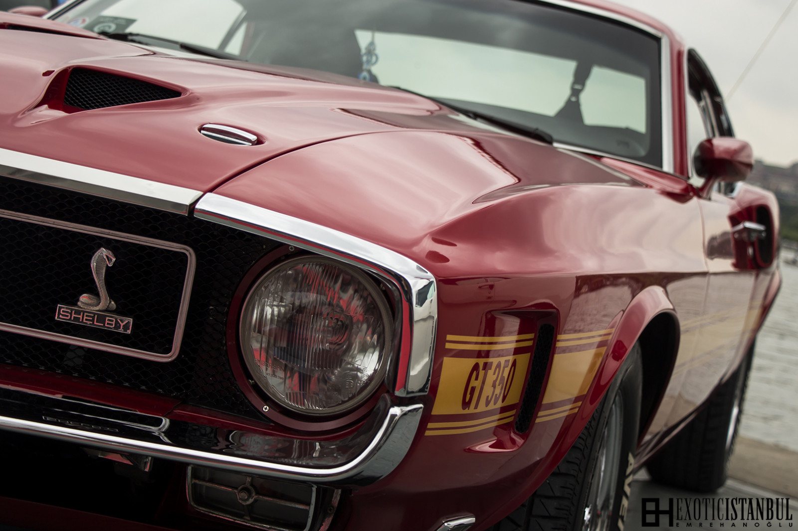 auto, vozidlo, kapuce, sportovní auto, Brod, Shelby, klasická auta, exotický, GT500, GT, Mustang, kolo, classiccar, klasický, Ford Mustang, závoďák, automobilového designu, automobilový exteriér, motorové vozidlo, závoďák, První generace Ford Mustang, Emre, exoticistanbul, emrehanoglu, Hano lu, egzotik, egzotikistanbul, GT350, shelbygt500, mustanggt, concoursdeleganceistanbul, shelbymustang, mustangcobra, Exotixistanbul, Shelbygt350, automotive wheel system