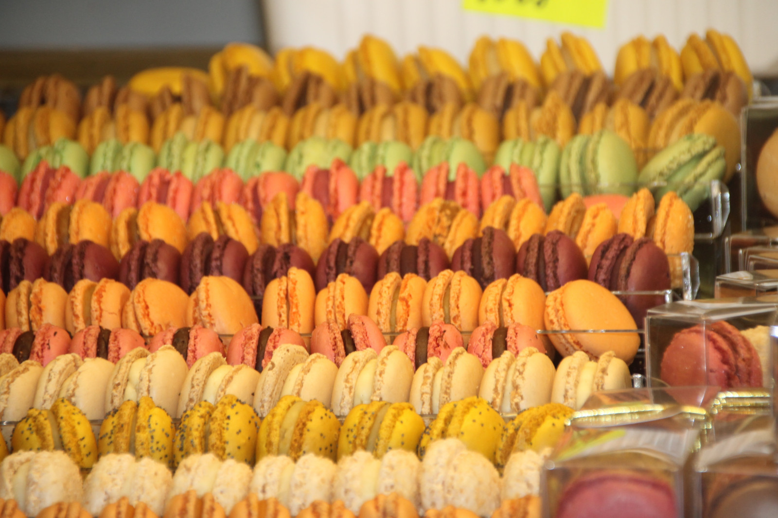 jídlo, sušenky, dezert, pečení, pečivo, pekařství, dezerty, jídlo, cukrárna, macaron, příchuť, ledová poleva